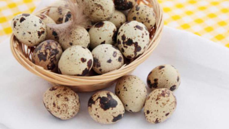 Günde kaç tane bıldırcın yumurtası yemeliyiz